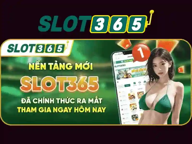 Giấy phép hoạt động Slot365 và các tổ chức giám sát quốc tế